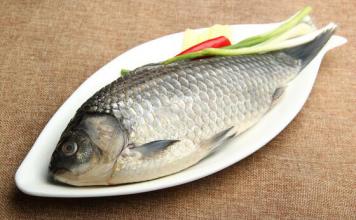 吃鱼讲究鲜,吃鱼有什么讲究的话语