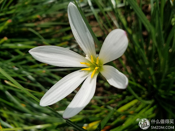 三星s7edge还能用吗,三星s7edge现在系统流畅吗