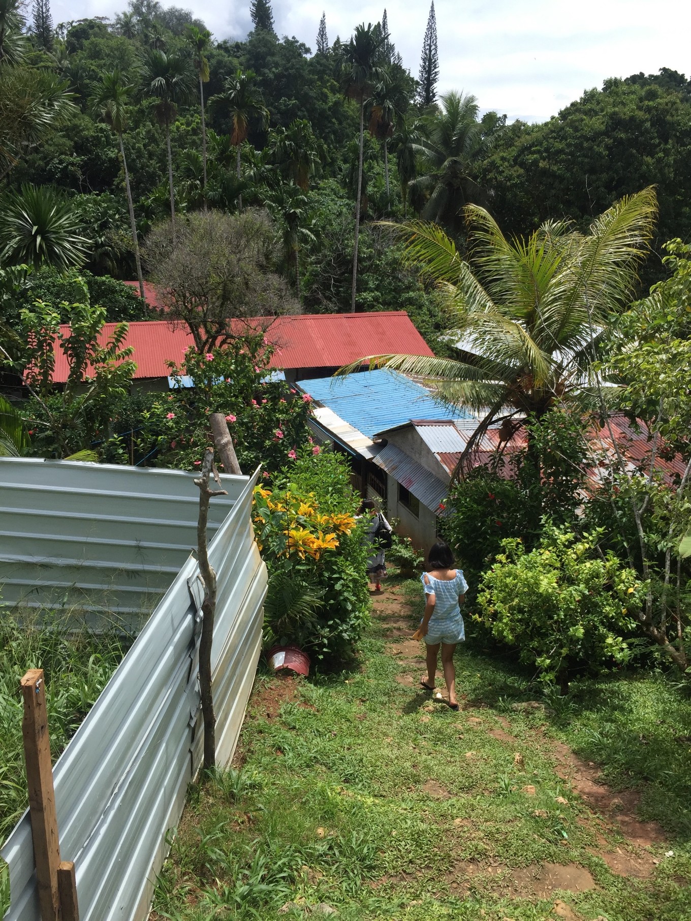 帕劳旅行攻略大全图文,帕劳旅行攻略图文大全