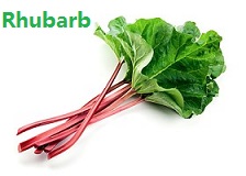 苹果的英文不是apple,苹果的英文发音是apple还是apple