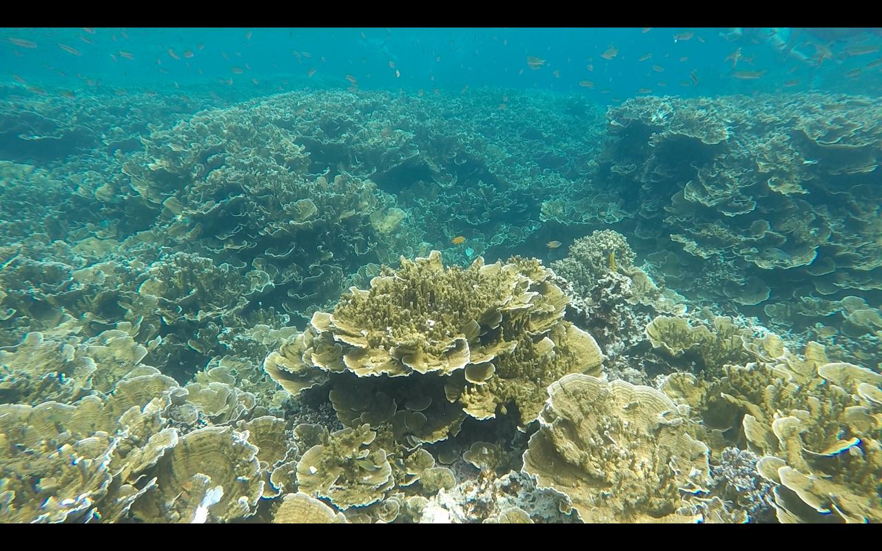 帕劳旅行攻略大全图文,帕劳旅行攻略图文大全