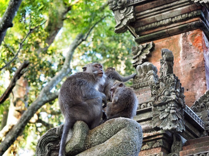 海外旅游陷阱,境外游必须知道的5件事