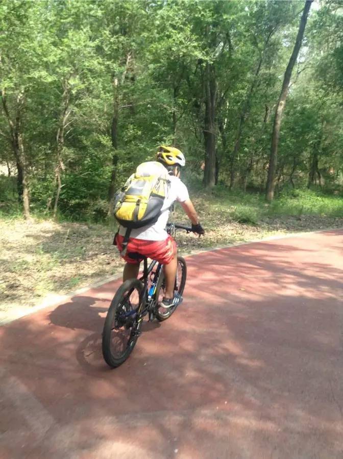 板凳观察——宗旭亮的音乐足球