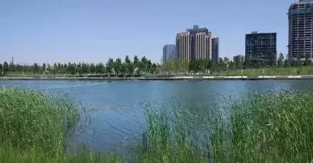 郑州速度！2条新地铁线下月开通，吃喝玩乐去哪儿都不愁