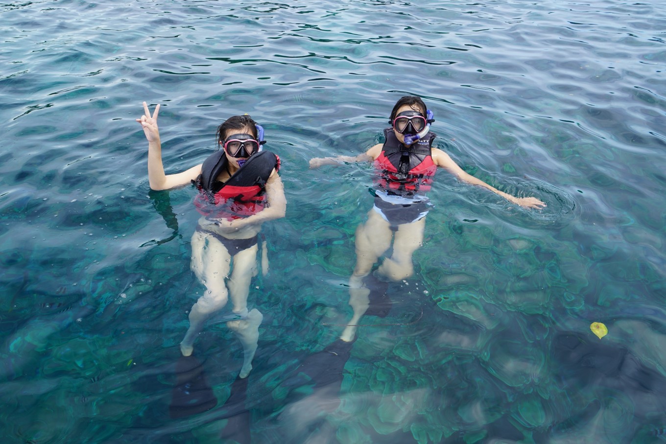 帕劳旅行攻略大全图文,帕劳旅行攻略图文大全