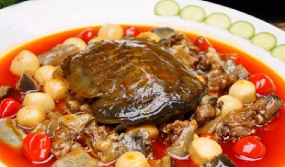 正宗朱桥烩甲鱼,淮安朱桥甲鱼羹哪家好吃