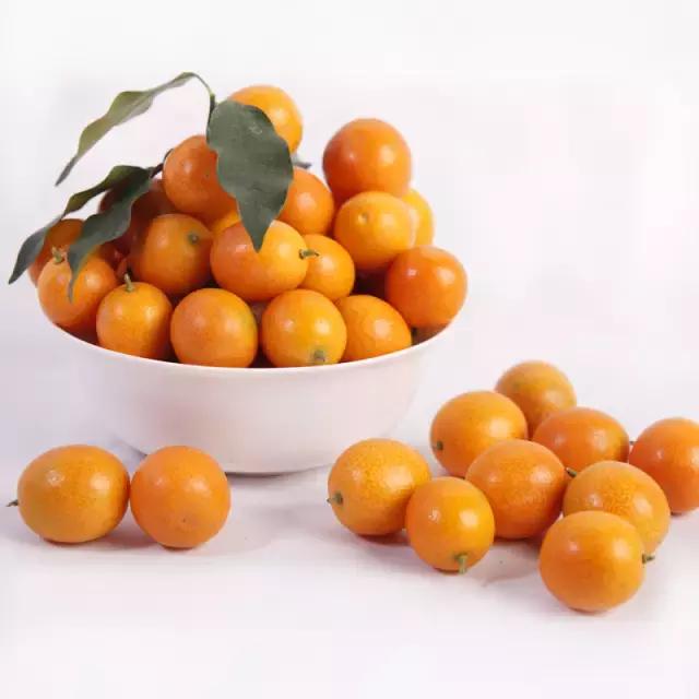 金桔小柠檬做法,小小金桔大妙用