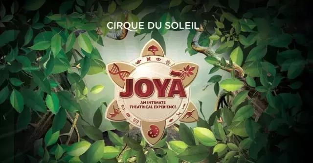 遇见坎昆:那一片蔚蓝之海,可以美到你眼泪掉下来