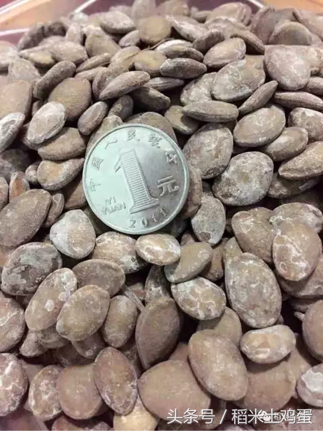 香甜可口的瓜子,年味不一样的滋味