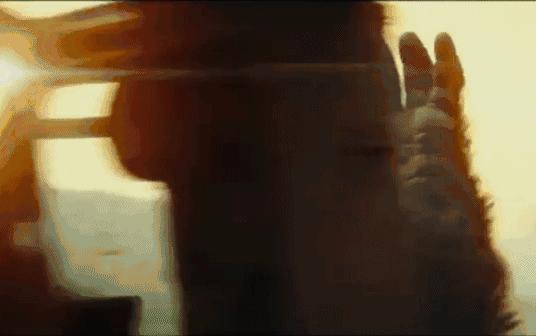 被2017的大片阵容吓哭，心疼钱包ing...