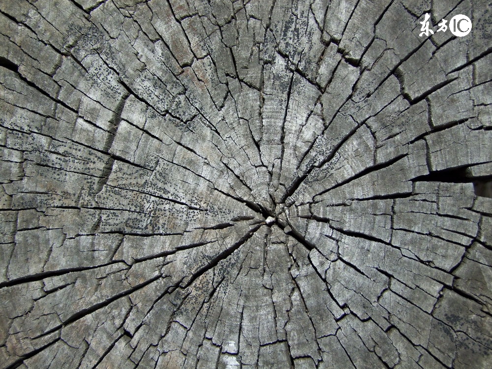 价值10万＋丨：微信直邮技术私密分享！