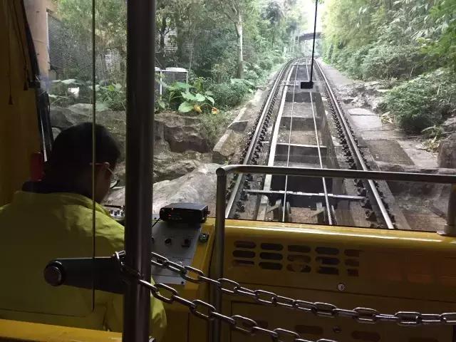广东冬天看雪的最佳旅游地,广东周边冬天看雪最适合去哪旅游