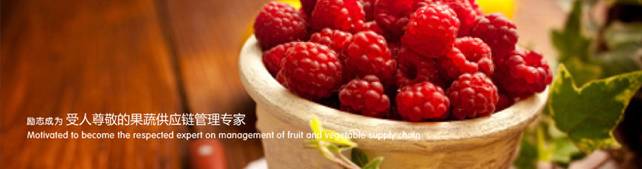 「新三板点将台」福慧达,833532:打造全过程服务体系的果蔬供应链管理专家