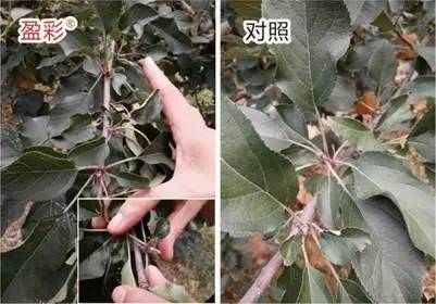 今日优品品牌零食,今日优品个体店