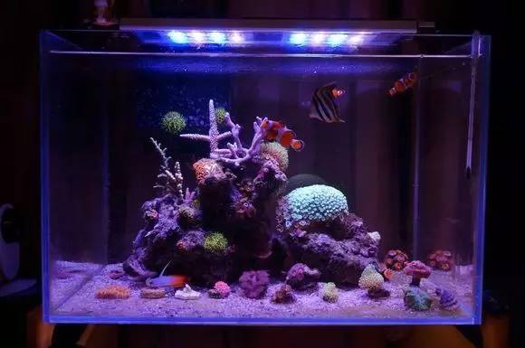 玩的真溜,三千玩出了三万的水平!