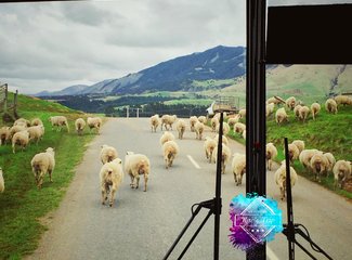 「2016.10RaesTriptoNewZealand」11日初次南半球之纽西兰