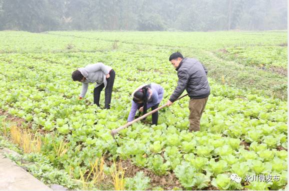 永川县即将开建的小镇,永川四大宜居之城