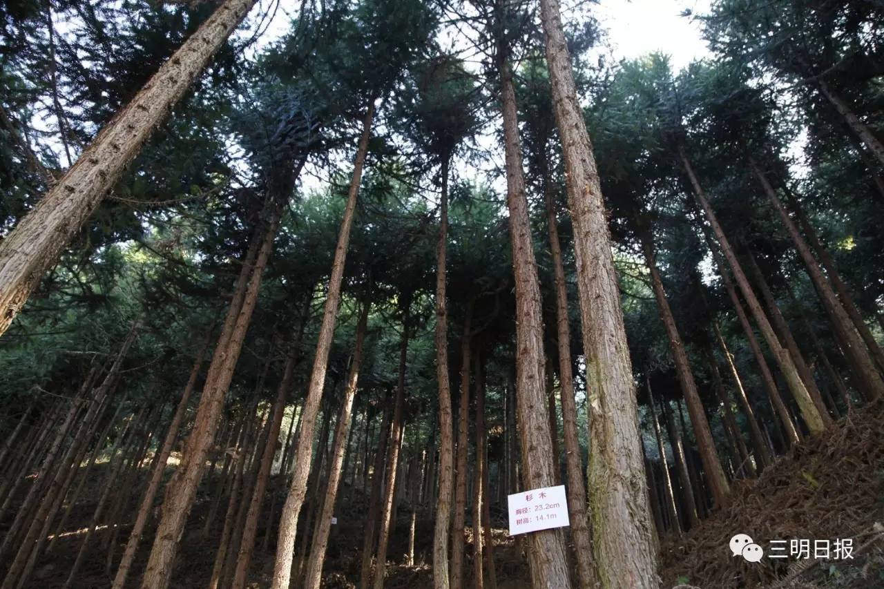 三明近期召开的全国性会议,最近三明市有什么重大会议