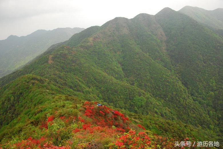 广东元旦从化旅游景点推荐,广州从化元旦三天两晚游玩攻略
