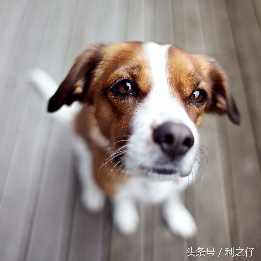 分娩前外阴消毒正确顺序,接产前产妇外阴消毒顺序