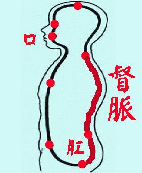 颈肩经络疏通最佳方法,中医肩颈调理全程