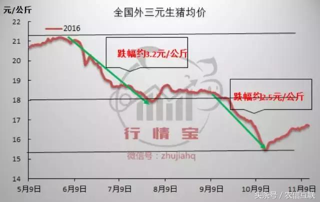2019下半年猪价还能涨到多少,2019年猪价走势如何