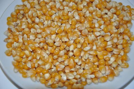 微波炉做玉米爆米花,爆米花玉米用微波炉加热几分钟