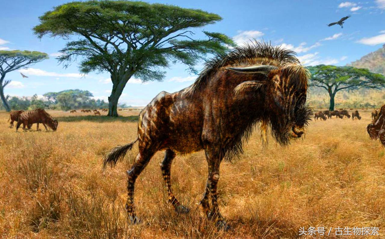 2021年神兽大全,1-8世代神兽盘点