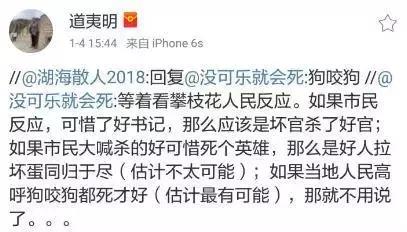 攀枝花枪击案最新结果,2017年攀枝花市枪击案