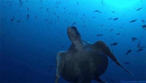 株洲哪趟公交车风景最好,株洲站旅游路线