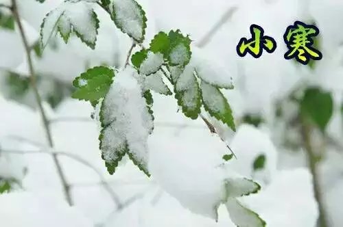 风吹腊梅香的诗句,风吹腊梅香时至小寒