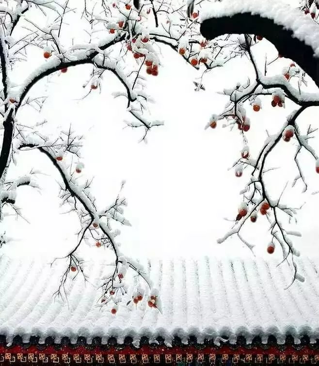 风吹腊梅香的诗句,风吹腊梅香时至小寒