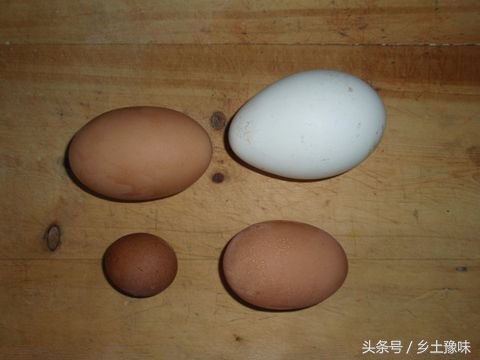 农村老母鸡下了铁蛋，得赶紧扔掉，不然会有厄运！