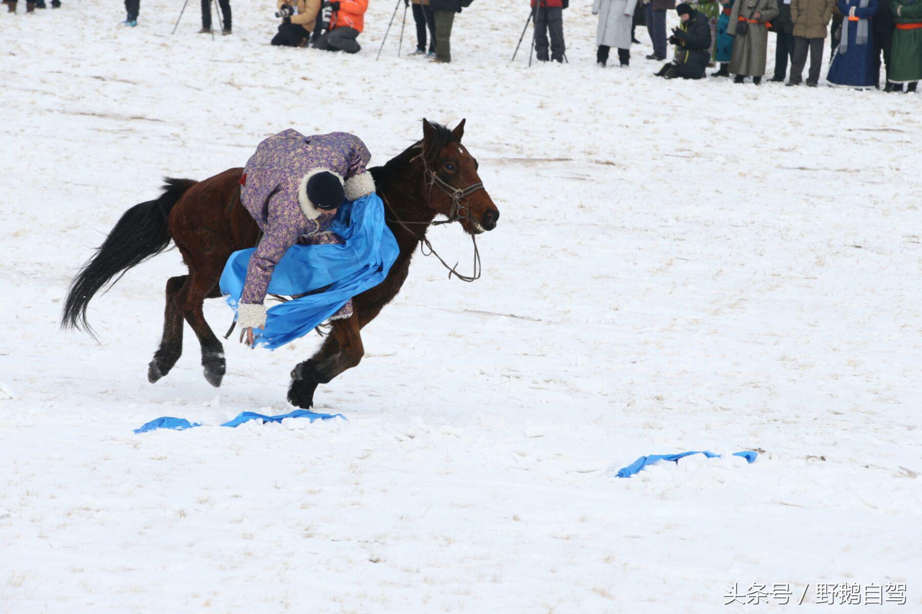 锡林郭勒盟那达慕自驾攻略,锡林郭勒冰雪那达慕完整版