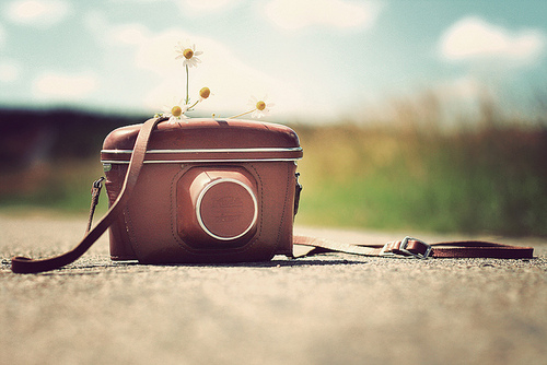 足球小子和绿茵小子,足球小子小时候