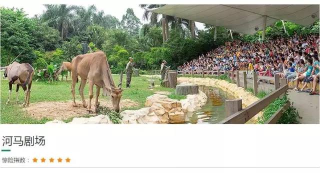 长隆攻略水上乐园和大马戏,广州长隆动物世界旅游攻略