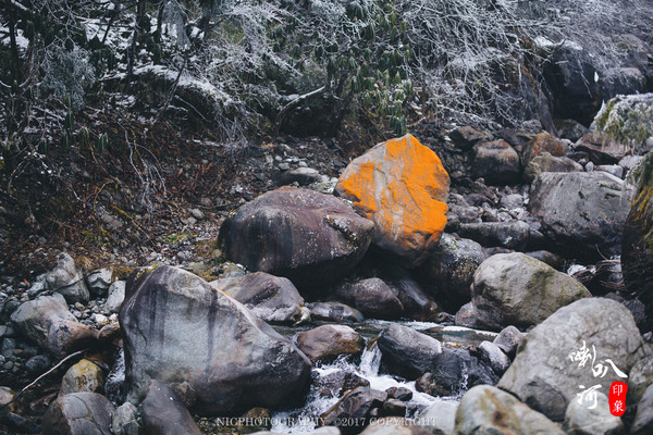 「成都躲霾攻略」喇叭河的圣诞奇缘