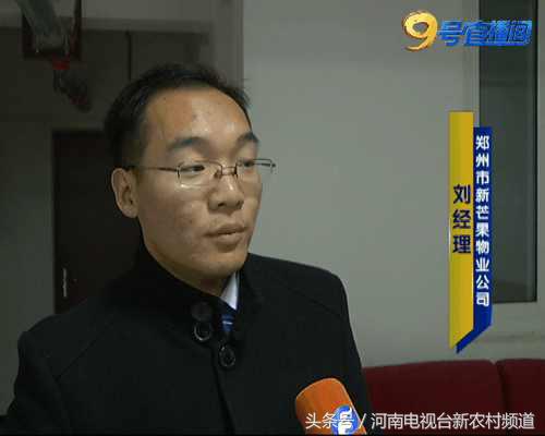 什么芒果是又脆又甜的,什么芒果又香又黄