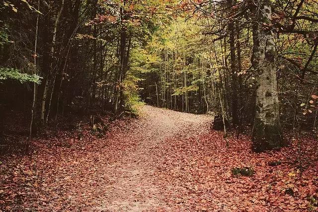 浜氭床寤変环鑸┖瀹樼綉,鎮﹁娉板浗鏃呰