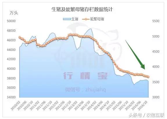 未来15天玉米行情云南玉米价格,山西玉米价格最新行情多少钱一斤