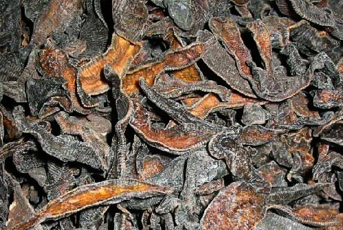 能杀死水体寄生虫的中草药,嗜血虫子