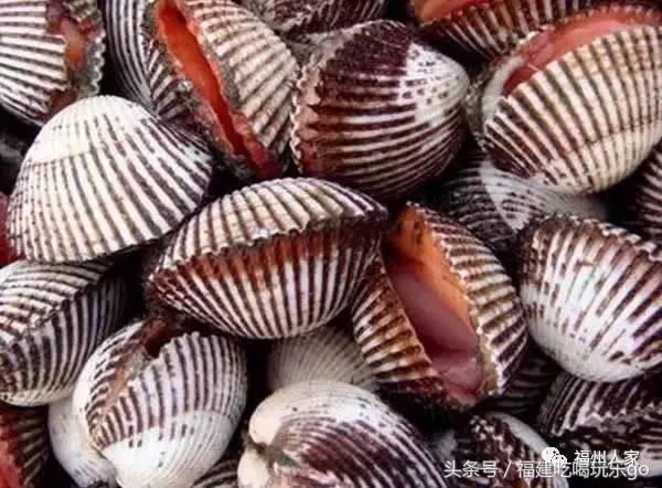 福建十大公认最好吃的菜,福建海鲜美食排行榜前十名