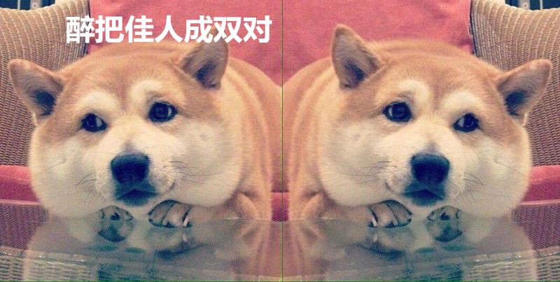 一人我饮酒醉女生唱出来的,一人我饮酒醉歌词来历详细解析