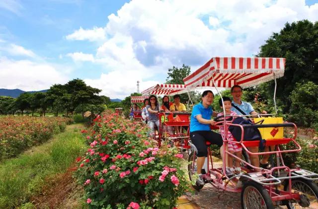 从东莞出发,不到两小时,就可以感受到靓爆灯的童话世界！