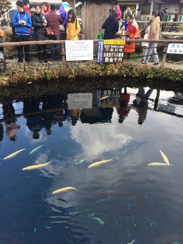 日本旅游马桶,日本旅游购物攻略一览表