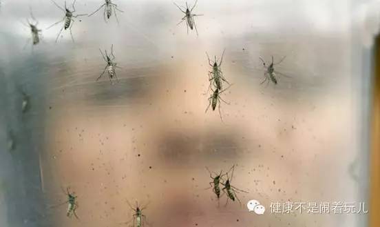 塞内卡病毒是怎么回事,关于塞内卡病毒提出的问题