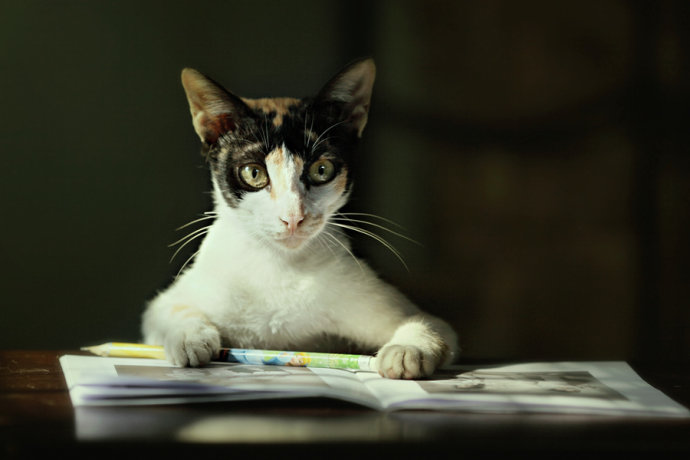 智商测试聪明指数,智商测试5分钟图片