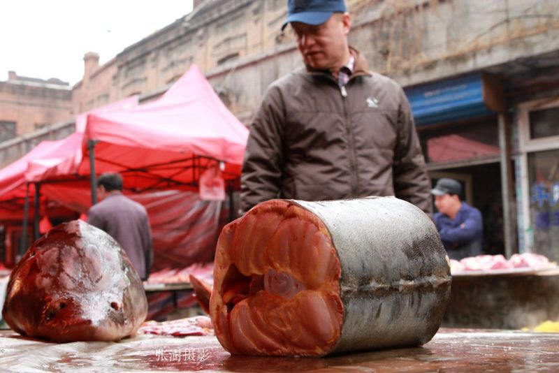 几百斤的鳇鱼,三万一斤的鳇鱼