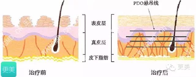 青春定格术3d视频,青春定格八维重塑