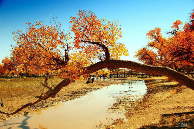 中国十四天旅行攻略 (顺着24节气游遍中国)